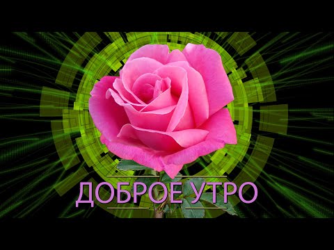 ✅Доброе утро✅ Анимационная открытка 4К