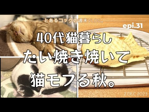 「たい焼き焼いて、猫モフる秋」epi.31　たい焼き作り｜モフモフ｜40代｜一人暮らし｜元野良猫