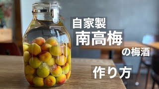 南高梅で梅酒をつけよう！/自家製果実酒【南高梅編】