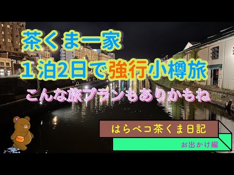 茶くま一家３匹で小樽弾丸旅行