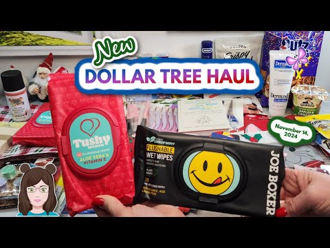 Huge NEW DOLLAR TREE HAUL!  Great Finds!! November 14, 2024