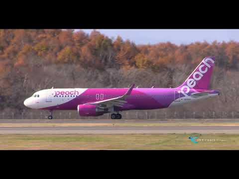 " 天空ピーチエアライン(TPA)  おっさんずラブジェット" Peach(APJ) Airbus A320-200 JA13VA