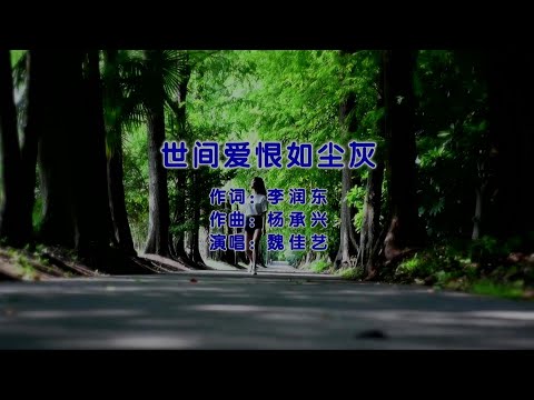 世间爱恨如尘灰-魏佳艺-主唱 KARAOKE