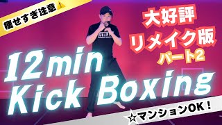 【自宅で３kg】痩せてみる？パート➁大好評ボクササイズリメイク版│自宅ボクササイズはSHAPIT