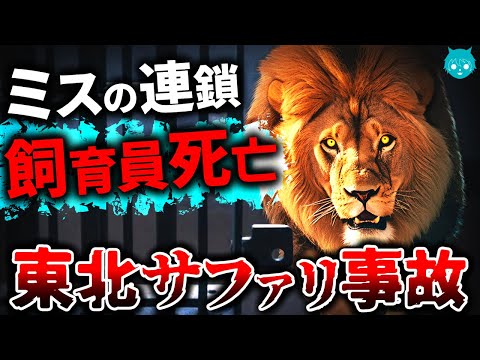 【事故】東北サファリパーク｜ライオンに襲われ飼育員が死亡した３つの原因