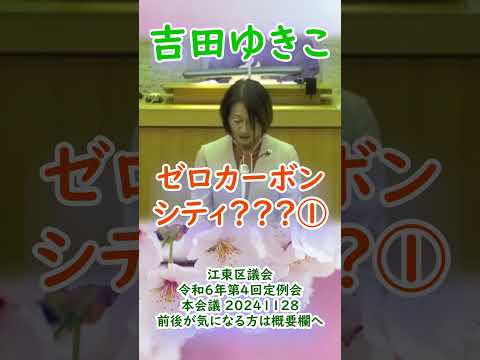 参政党【吉田ゆきこ】20241128重要部分①江東区議会令和6年第4回定例会【ゼロカーボンシティ？？？①】