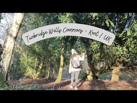 Winter in Tunbridge Wells Commons - Kent | UK