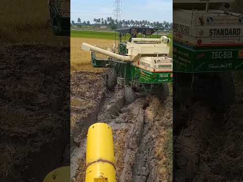 #video #viral #shoat #shorts #kisan #jondeere #5310#cgfarmar#yogeshpatel