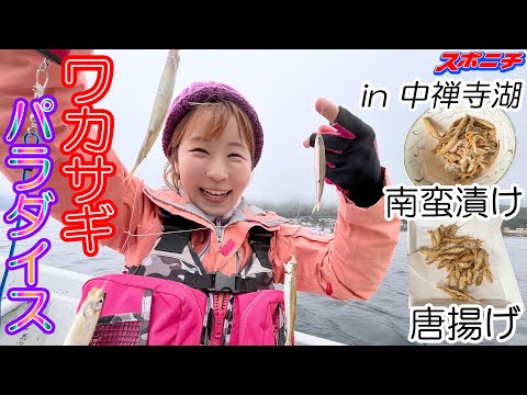 【釣り女子アナリポート29】餌がなくても？ワカサギパラダイス！？ in 栃木県日光市・中禅寺湖