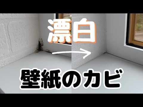 【カビ落とし】壁紙についたカビを漂白する方法！