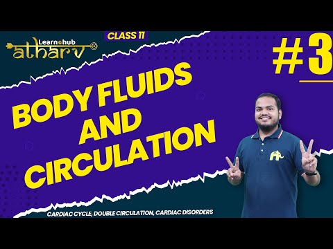 Body Fluids and Circulation Class 11 Biology NCERT Chapter 14 #3 | Cardiac Cycle | Atharv Batch