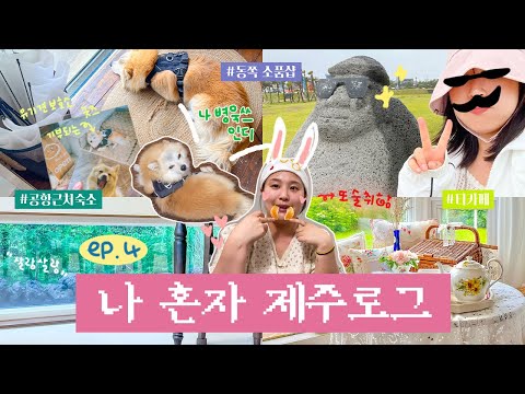 [ep.4] 나 혼자 제주 5박 6일 여행 vlog l 제주 공항 근처 숙소, 함덕해수욕장, 제주 소품샵, 제주 신상 카페, 제주 감성숙소, 제주 공항 혼밥, 제주 2박 3일 코스