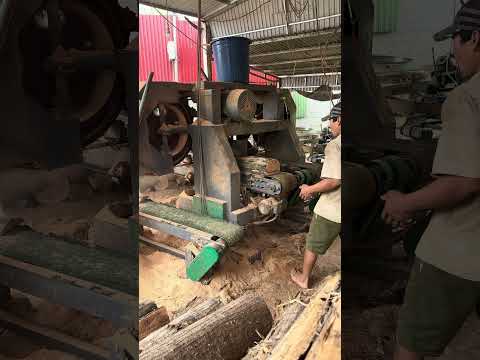 workers #shorts #wood #woodworking #machine #woodwork