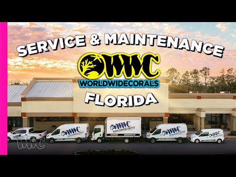 WWC Aquarium Service Maintenance Orlando Florida