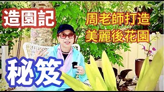 （190）《造園記》想擁有一個漂亮的後花园嗎？周老師講敘，如何打造一個低維護、低成本，又別致的後花園 ，精心設計製作的理念、步骤和诀窍 ，化腐朽為神奇，讓人賞心悅目|Joanna澳洲生活（字幕CC）