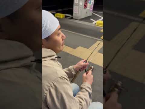 長良川付近で釣れる海魚は？