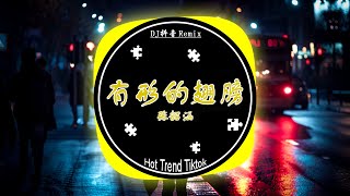 张韶涵 - 有形的翅膀 ( DJ抖音版 2024) Đôi Cánh Hữu Hình | DJ劲爆嗨曲2024最火抖音 Hot Trend Douyin | Baizhing Remix