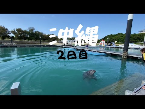 【旅行】沖縄旅行🐬２日目！