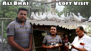 PIGEON LOVER ALI BHAI PIGEON LOFT VISIT ( RAJARHAT NEWTOWN KOLKATA ) -  7003401838