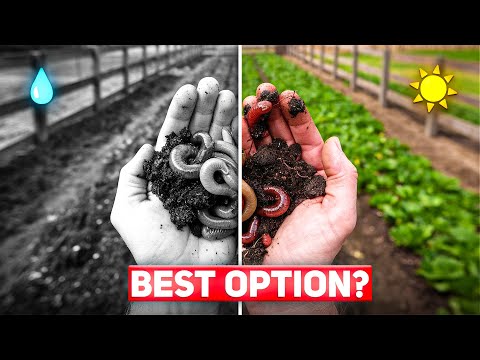 How to Feed VERMICOMPOST Worms - Worm Farming Do's and Don'ts - What to Feed Worms - EASY Worm Diet