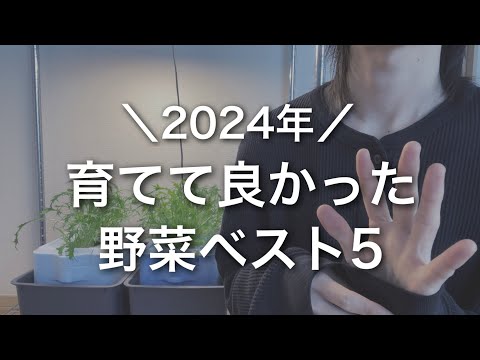 2024年育てて良かった野菜ベスト5