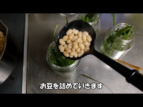 信じて送り出した大豆が納豆に成り損ねてガラムマサラとチタタプにされてしまうﾅﾏｽﾃ…