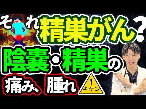 【放置厳禁】陰嚢・精巣・睾丸の痛み・腫れ・違和感について泌尿器科専門医が解説