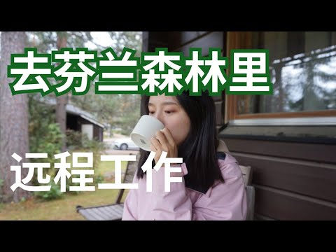 在北欧森林小屋里写代码？