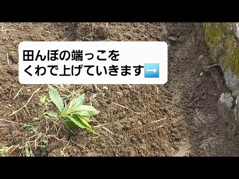 ⑤【米づくり(田んぼの準備)】へびの脱け殻と遭遇