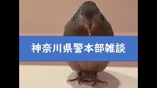 警察の身元確認を待つ雑談