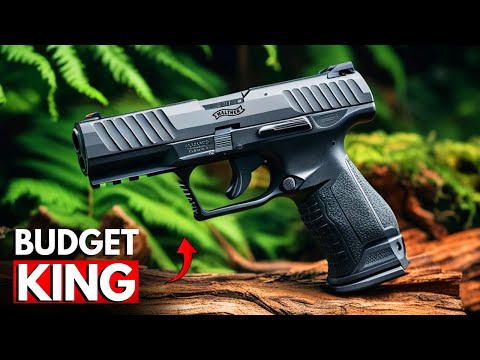 TOP 7 BUDGET GUNS