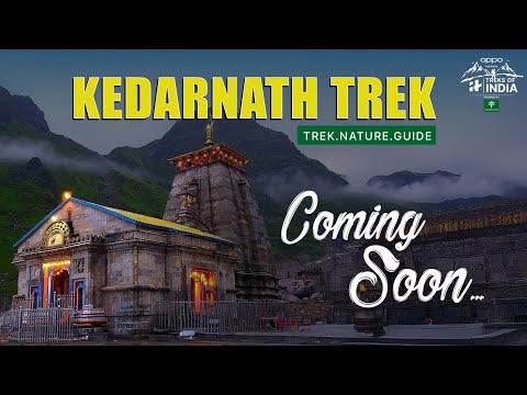 Kedarnath Trek | Treks Of India | Teaser