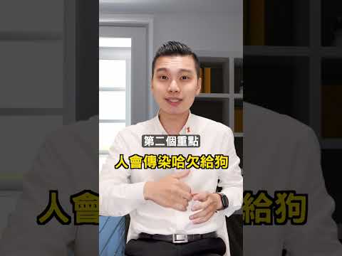 毛孩這樣做表示他愛你 #shorts #毛小孩