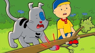 カイユと獣医 | Caillou | 子供のための漫画 | WildBrain ジャパン