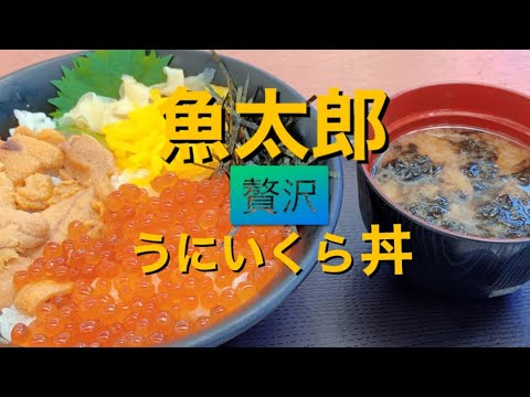 魚太郎（美浜町）で贅沢に海鮮丼