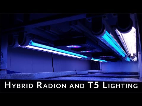 Overview of the 180g Hybrid Lighting System