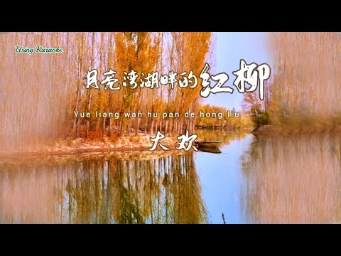 月亮灣湖畔的紅柳-大歡-伴奏 KARAOKE