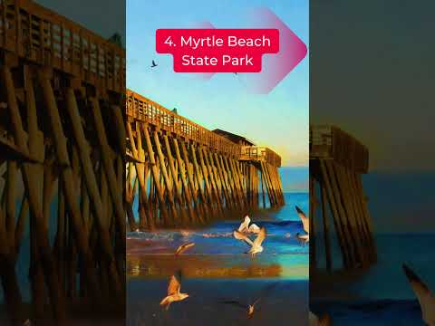 Top 10 Stuff To Do In Myrtle Beach South Carolina USA #top10places #travel #myrtlebeachsouthcarolina