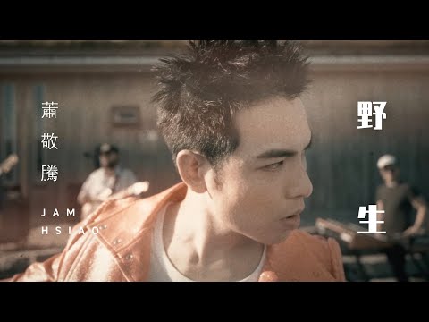 蕭敬騰 Jam Hsiao 《野生WILD /MILD》Official Music Video