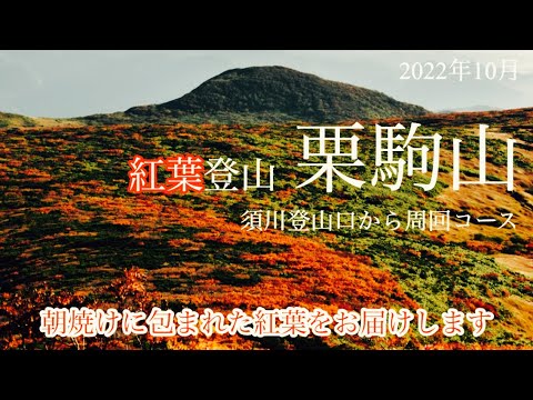 【紅葉登山】10月　栗駒山　須川コース周回　朝焼けに包まれた紅葉