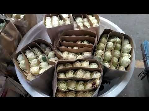 Kunming Flower Market in China