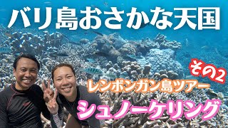 【バリ島】レンボンガン島でシュノーケル