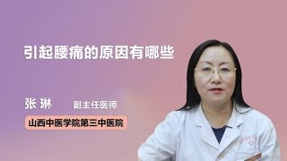 引起腰痛的原因有哪些 张琳 山西中医学院第三中医院