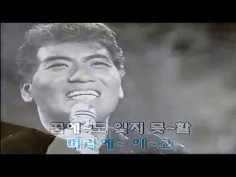 나훈아 - 귀향 (1973)(원곡삽입 Karaoke version)