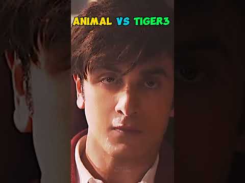 Kya Animal Tiger 3 ko beat karegi #shorts #animal