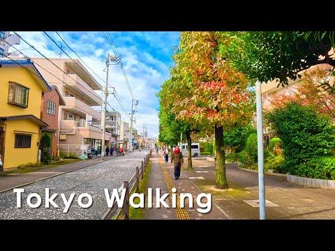 Walking in Sagamihara, a large city in Japan, in winter 4K