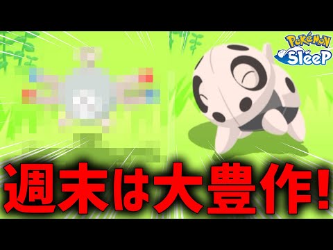 週末のイベントウィークが本気出してきた朝【ポケモンスリープ】