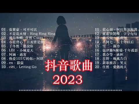 2023抖音🔥熱歌🎧2時🎵好聽歌曲不間斷🎵「無廣告」如果有推薦的2023抖音 :【行进份热门歌曲总结 最火最热门洗脑抖音歌曲【動態歌詞Lyrics】