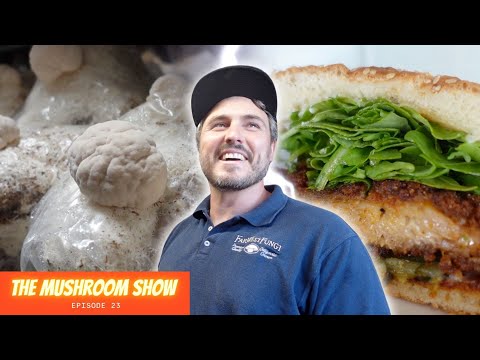 Growing 35,000 LBS Per Week And Showing What's Possible With Mushrooms (The Mushroom Show Ep 23)