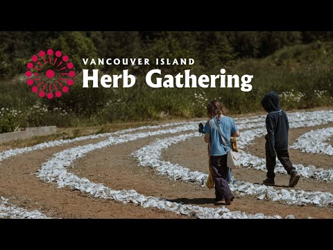 Vancouver Island Herb Gathering 2019